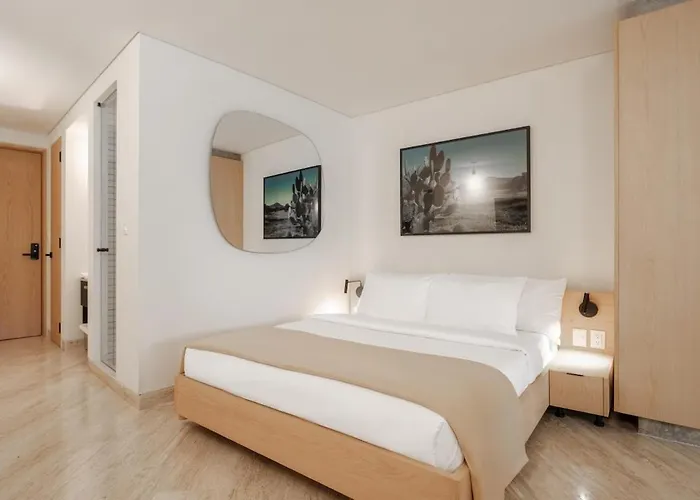 Par 505 Apartment Mexico City